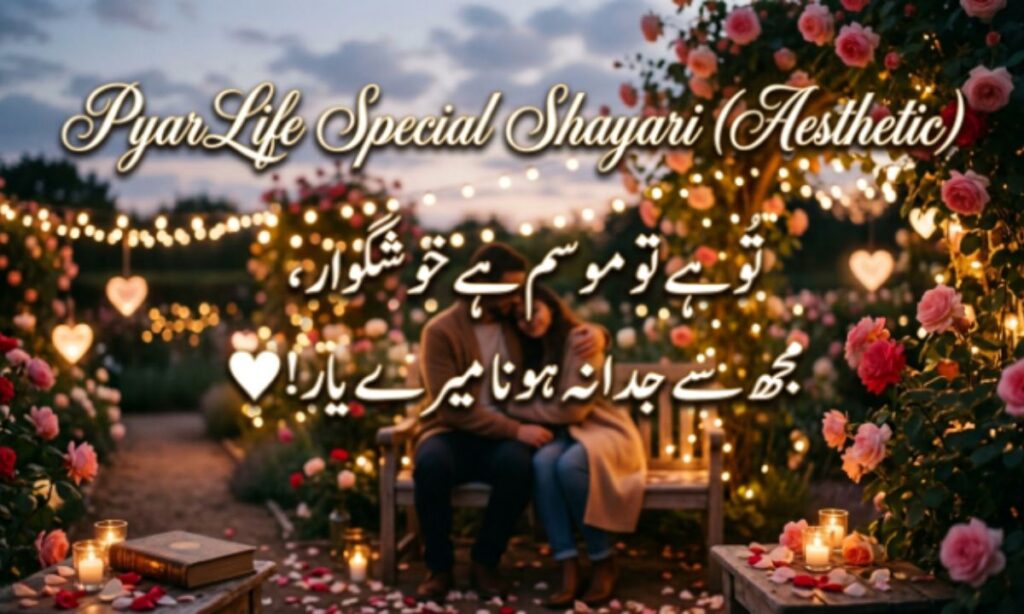 Pyar Life Special Shayari (Aesthetic)